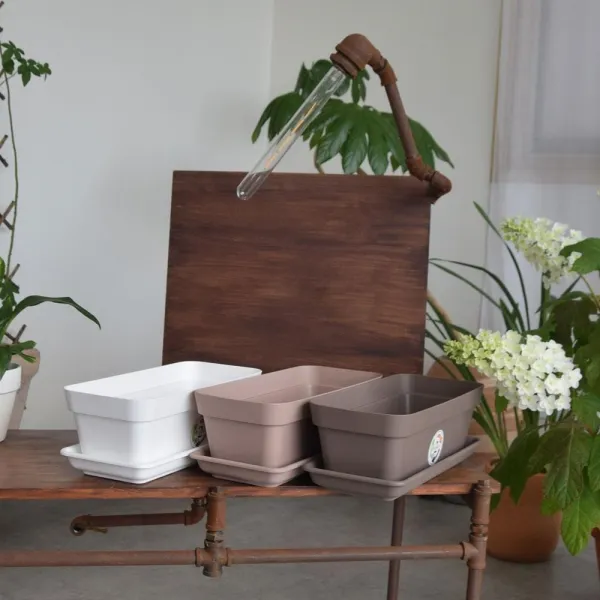 채소기르기 플라스틱 이태리화분 39x14cm 그린 가로수, 연브라운 물구멍o