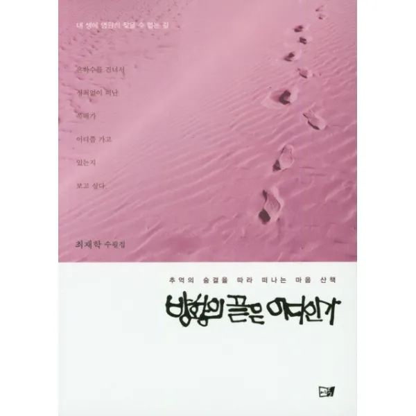 방황의 끝은 어디인가, 이든북