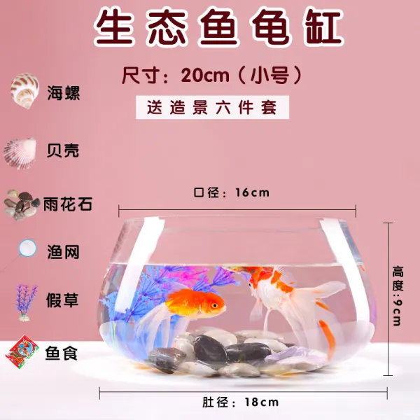 Mar.23 45번 어항유리 원형 책상 초록물배 가정용 물고기 아이디어 투명 미니 테이블 거북이 항아리z 거북이 독 우화 석 6 종 세트 5 개