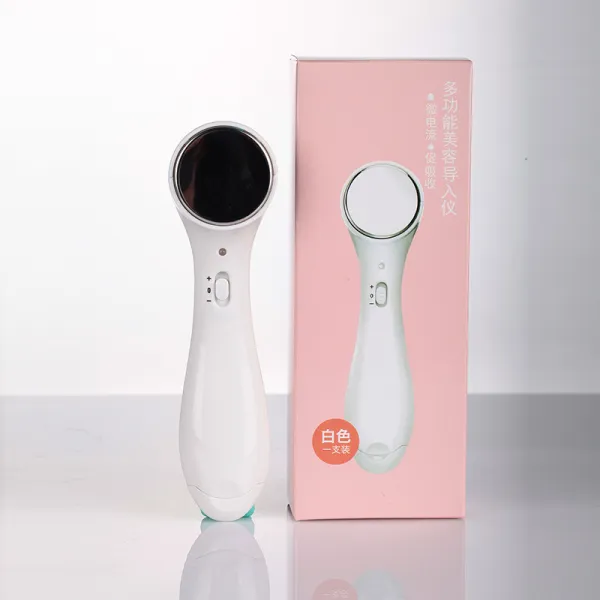 이미용기구 다용도 이온 도입기 도출 미용기 가정용 세안기 진동 주름제거, 기본