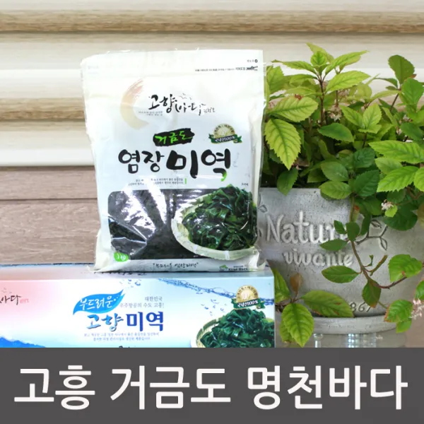 고흥 거금도 염장미역 염장다시마 건미역 건다시마 산모미역 미역줄기, 염장미역(1kg×5봉), 1박스