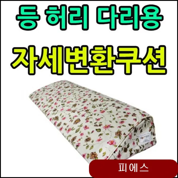 거동이 불편한 분들을 위한 허리 등 다리용 변환쿠션 생활용품 노인케어 노인용품 Fion 1개
