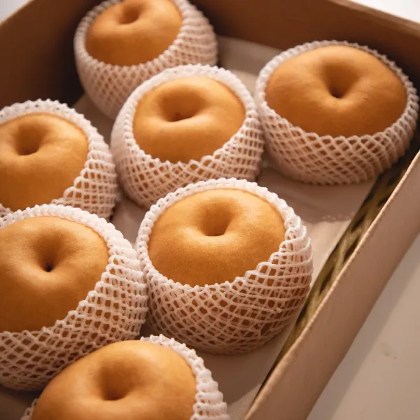 과일꾼 나주배 과일선물세트, 1box, 5kg 8-11과