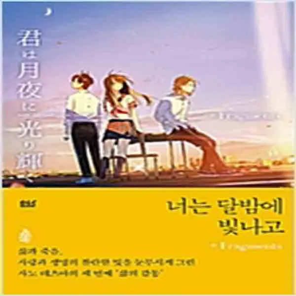 (새책) 너는 달밤에 빛나고nFragments