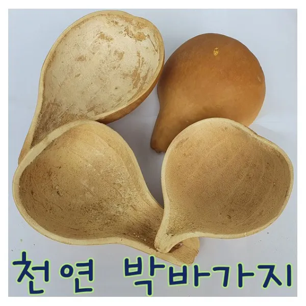 IQPLUS 박바가지, 1개, 박바가지/대