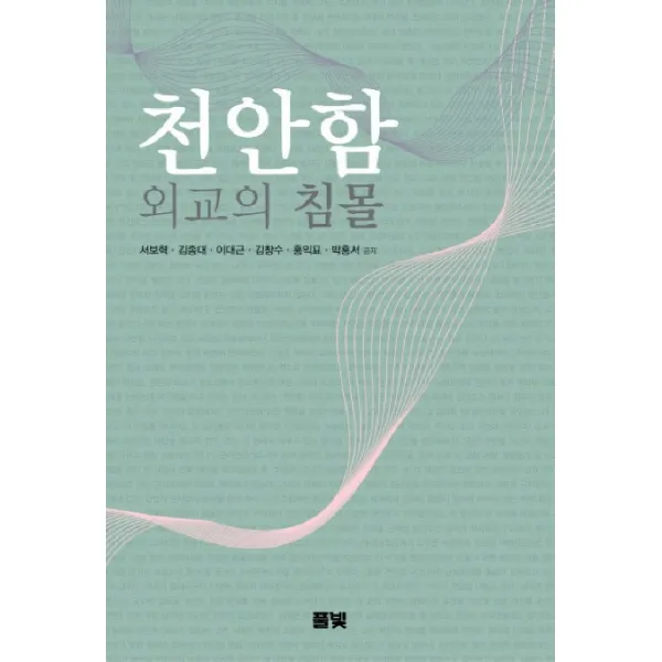 천안함 외교의 침몰, 풀빛