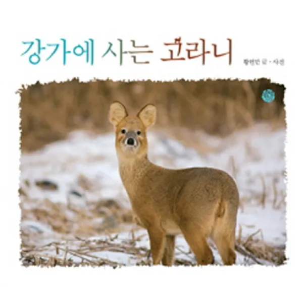 강가에 사는 고라니, 소년한길
