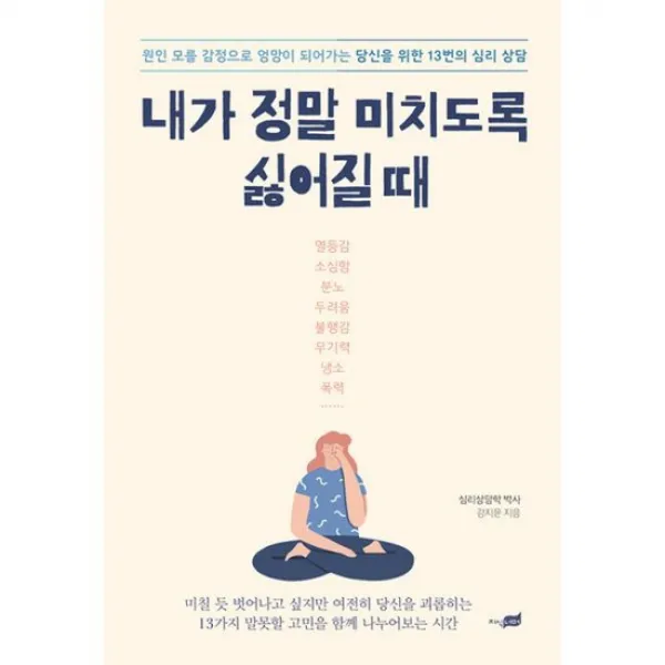 내가 정말 미치도록 싫어질 때 : 원인 모를 감정으로 엉망이 되어가는 당신을 위한 13번의 심리 상담