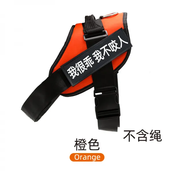 Mar.20 176번 강아지 가슴 멜빵 견인줄 덕목 조끼형 말견 사모예 용품 대형 중형견 산책용 목줄 체인z S 12 25 근 주 황 어 울 리 지 않 는 끈 소장 선물