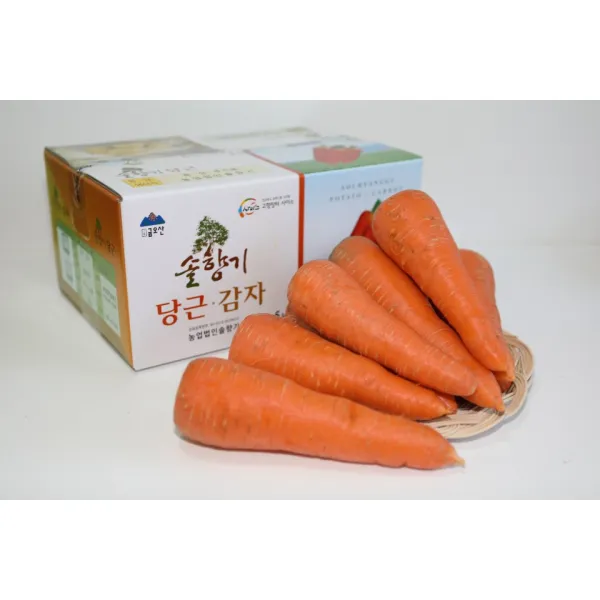 솔향기 친환경 당근 주스용 5kg 100g 이하 1box