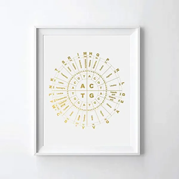 유전자 코드지도 골드 호일 인쇄 유전자 코드 예술 인쇄 유전 암호화 08 X 10 불공평 본상품