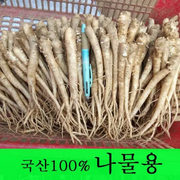  금산도라지 직접재배한 생도라지1kg >산지직송>국산도라지 약도라지 엑기스용 나물용 무침 정과용 배즙용 *도매전문* 1개 도라지 나물용 1kg