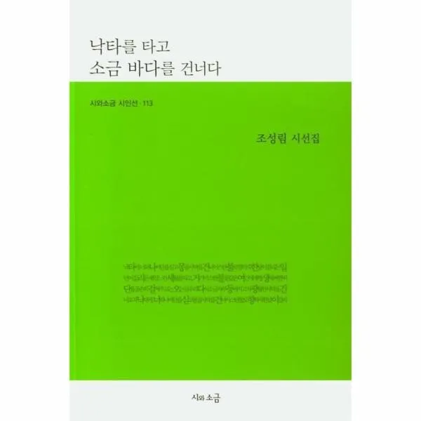 웅진북센 낙타를타고 소금 바다를 건너다 113 시와소금시인선, One color | One Size@1