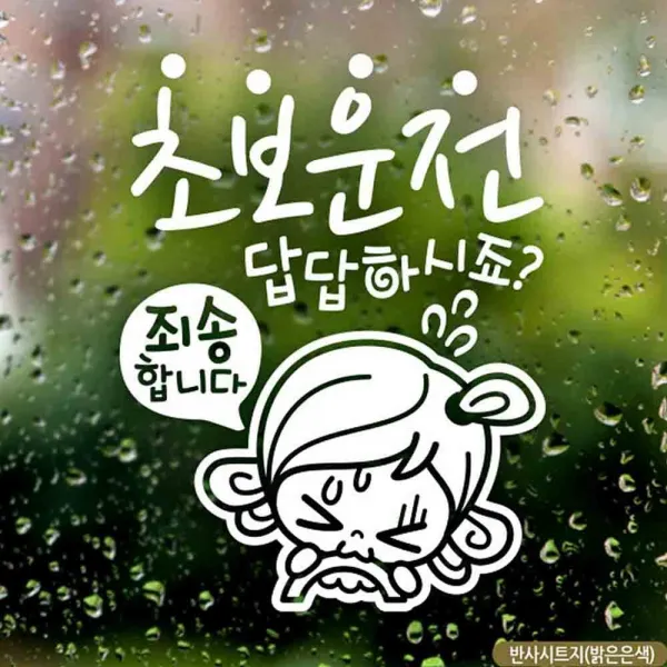 자동차스티커 초보답답 초순이 초보운전 반사시트지 데칼스티커 안전운전스티커 자동차데칼 초보운전거북이, 1개