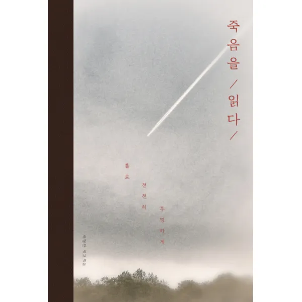 죽음을 읽다:홀로 천천히 투명하게, 이상북스