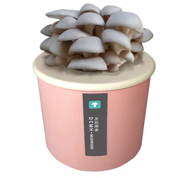 홈심다 식용 균종 하우스 자양함 느타리버섯 홈버섯 케이스 둥근 통, 느타리버섯 -둥근 통 -핑크