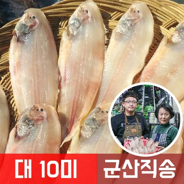 맛나젓갈건어물 반건조 박대 서대 10미 대 사이즈 박대구이, 10개
