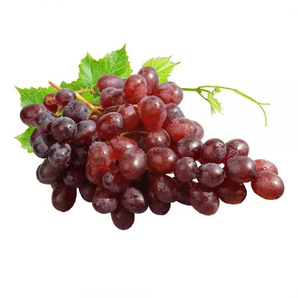 오렌지씨 포도_1kg~2kg_거봉(레드글로브)청포도크림슨적포도, 적포도크림슨_2kg_size(XL)