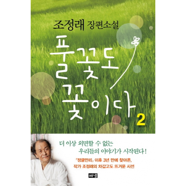  해냄 풀꽃도 꽃이다. 2 조정래 장편소설 양장 단품