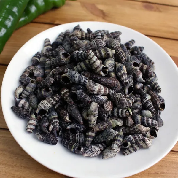 냉동 자숙 갯고동 1KG, 1