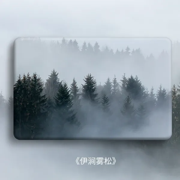 어반30 욕실 발판 화장실 규조토 발매트 규조 머드 흡수 매트 논슬립 닥터 속건수 패드 이간무송 30x40cm