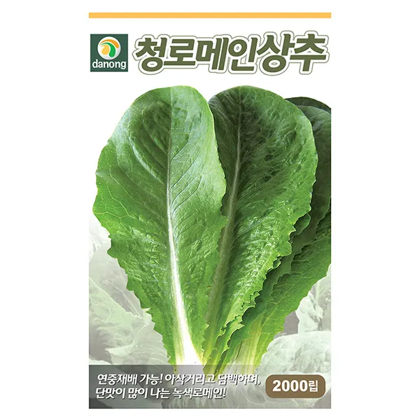 청로메인 상추 씨앗 2000립 - 상추씨앗 상추씨 청치마 쌈채소 야채씨앗 채소씨앗 채소재배 종묘 종자 베란다 텃밭 씨 씨앗, 19_다농_청로메인 상추(2000립)