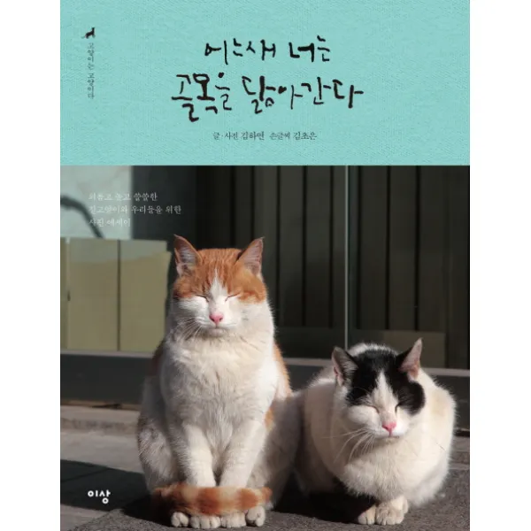 어느새 너는 골목을 닮아간다. (고양이는 고양이다. 2):외롭고 높고 쓸쓸한 길고양이와 우리들을 위한 사진 에세이, 이상미디어