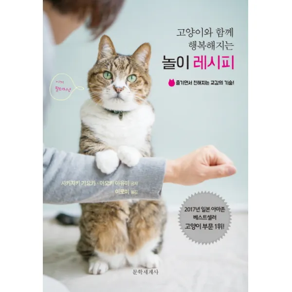 고양이와 함께 행복해지는 놀이 레시피:즐기면서 친해지는 교감의 기술, 문학세계사