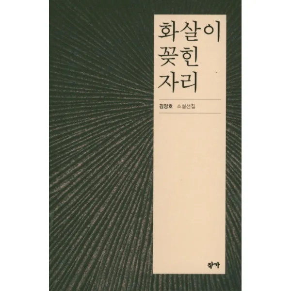 화살이 꽂힌 자리:김양호 소설선집, 작가