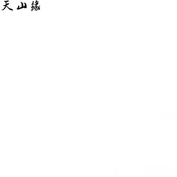 정로위의 커플룩은 십중팔구 떨어져 있지 않다