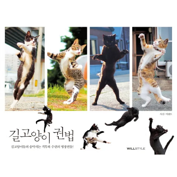 길고양이 권법:길고양이들의 숨막히는 격투와 수련의 명장면들!, 윌컴퍼니(윌스타일)