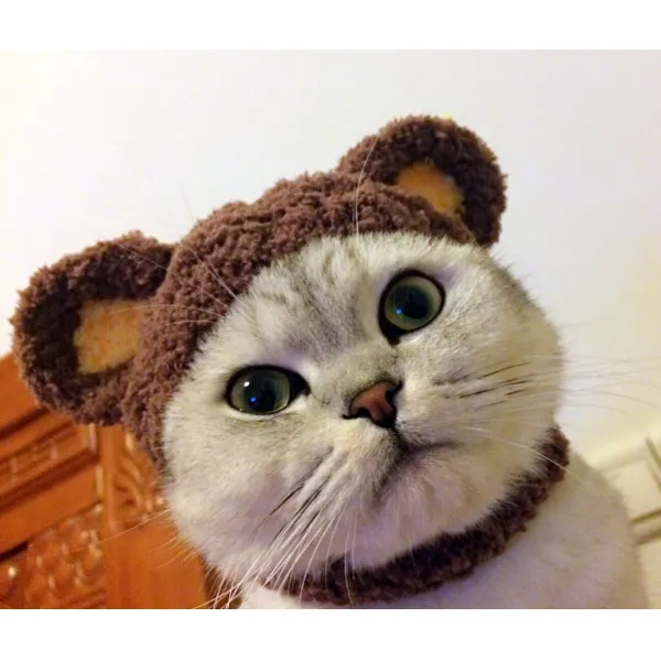 어반30 반려동물 필수템 강아지 고양이 모자 귀여운 곰 변신 머리장식 소품, 곰돌이(마술스티커)