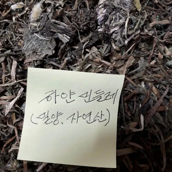 산골약초당 흰민들레즙, 50팩, 110ml