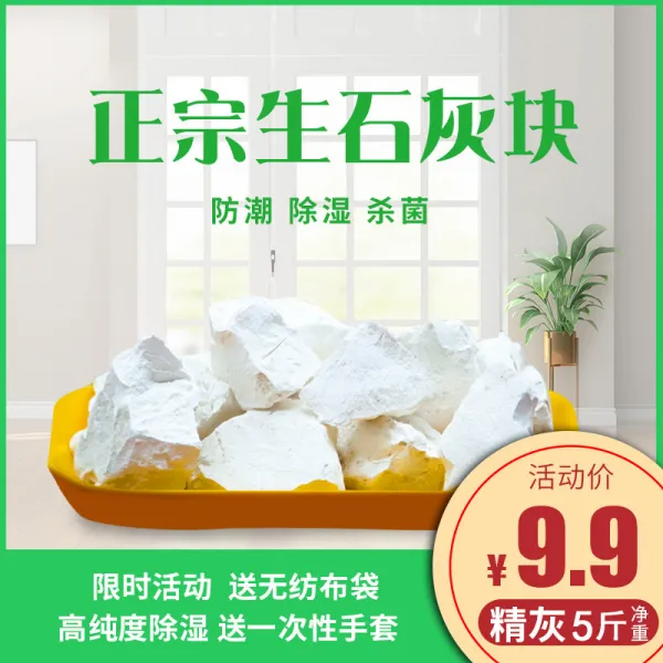 제습제 5근 가정용 실내 방 옷장 창고 제거 방수가방 습기방지 건조제 기본