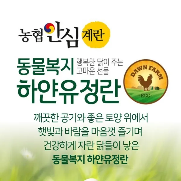 (농협안심계란)동물복지하얀유정란, 40개입, 2080g이상