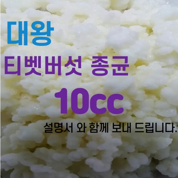 티벳버섯 유산균종균 캐비어그레인 프로바이오틱스 10cc발효유 수제요거트, 10cc