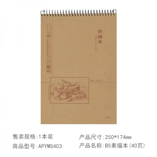 스케치북 Chenguang소묘노트 스케치노트 더블라인 ShengZhuan용회화노트 그래피티 사생그림그리기 간편 소묘노트 원목 펄프 16K공백 그림 미술 B5전용 납페인팅 도화, T01-B5소묘노트 40페이지(평년 시리즈 2)*2권