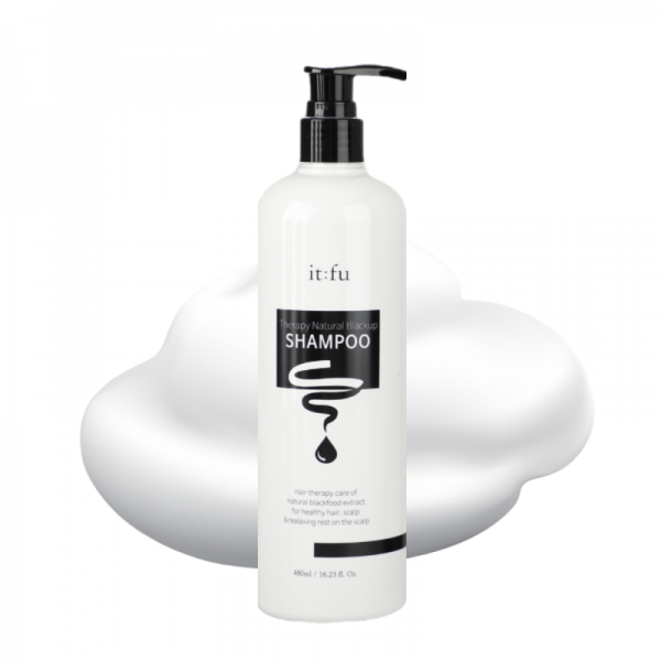 잇퓨 테라피 블랙업 샴푸 새치케어 흰머리방지 만다린향, 480ml, 1개