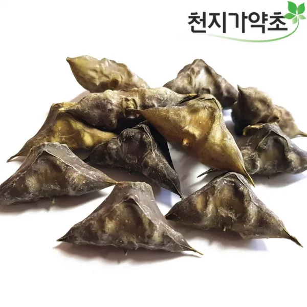 천지가약초 충남태안 햇 마름열매 500g 물밤 능실, 1개