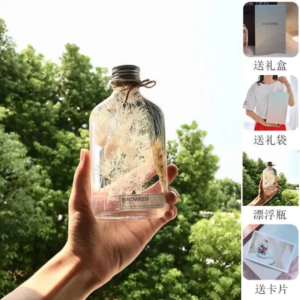 적합 선물하고 있다 어머니날 의 독창적 엄마 트윈 소녀 여학생 그물심 실용적 520, 와인레드 색깔 B보틀 200ML 화이