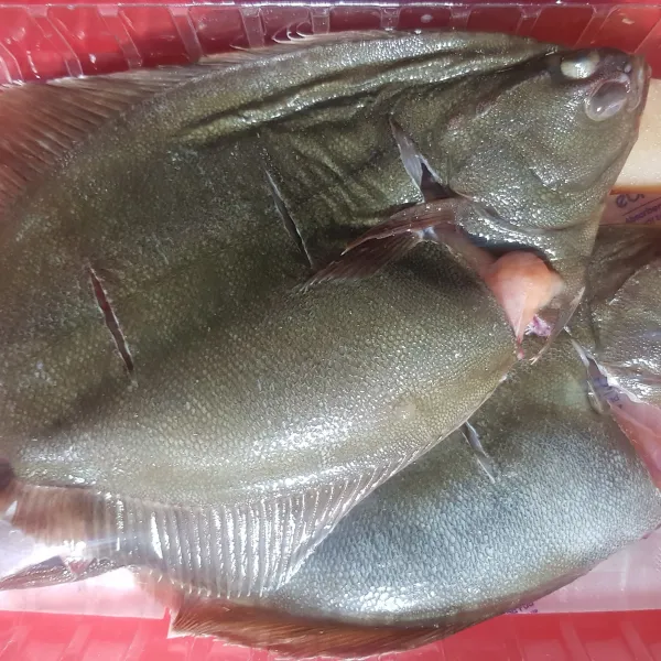 어부의바다 봄 도다리 쑥국 요리, 1개, 왕 도다리 1마리 1kg 이상