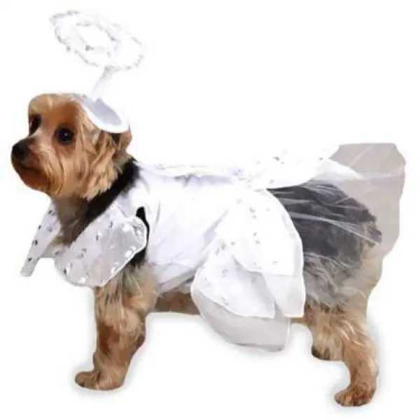 Casual Canine Angel Paws Dog Costume Large White 캐주얼 송곳니 천사 발의 의상 대형 흰색, 1