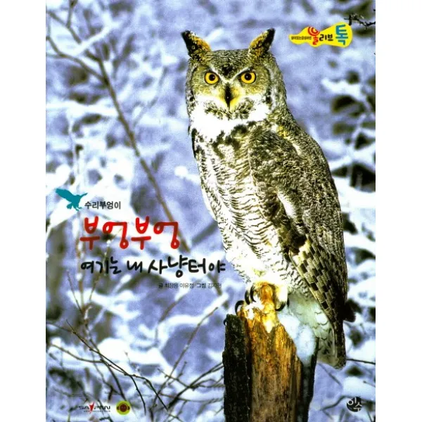 부엉부엉 여기는 내 사냥터야, 이수