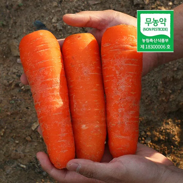 화산토에서 키운 제주 무농약 세척당근 쥬스 즙 용, 1box, 1)쥬스용 3kg