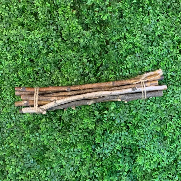 달리베리 자작나뭇가지(10개) 20cm