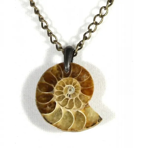 스타일 ARThouse 화석화 된 Agatized Ammonite 정품 화석 목걸이 18 인치 조정 가능