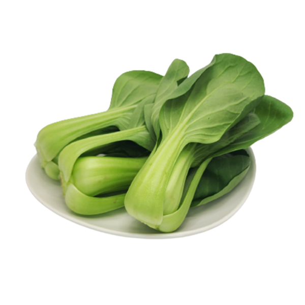 야채24닷컴 청경채 1kg 내외, 1개