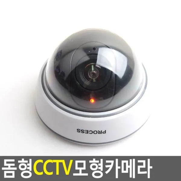 ksw28054 기본형 CCTV 모형카메라 ns899 1개, 1, 본 상품 선택