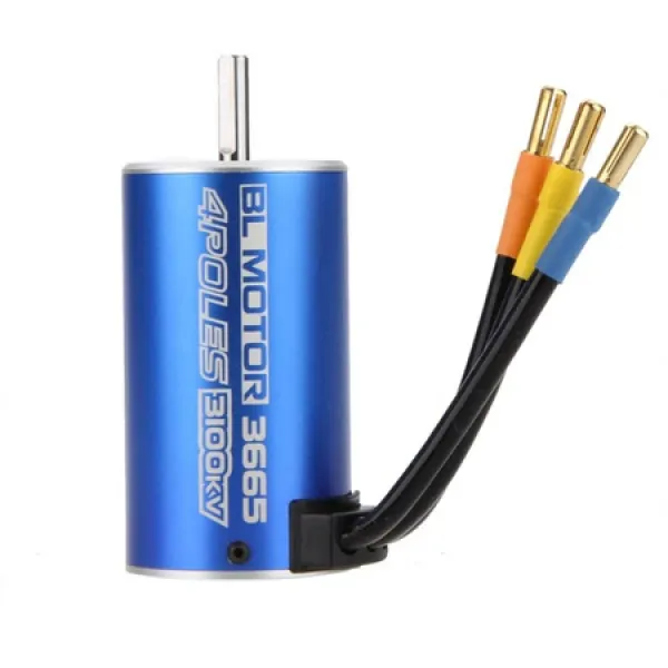 goolrc 3665 4 극점 3100kv 무 센서 브러시 rc 무선 조종 자동차 자동차 보트 선박 【병행 수입품] PROD11, One Color