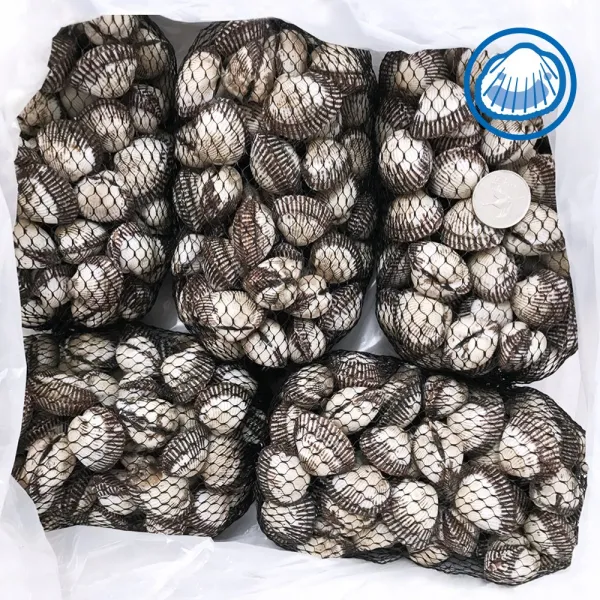 와온수산 제철 꼬막 벌교 새꼬막 혼합 5kg 1box